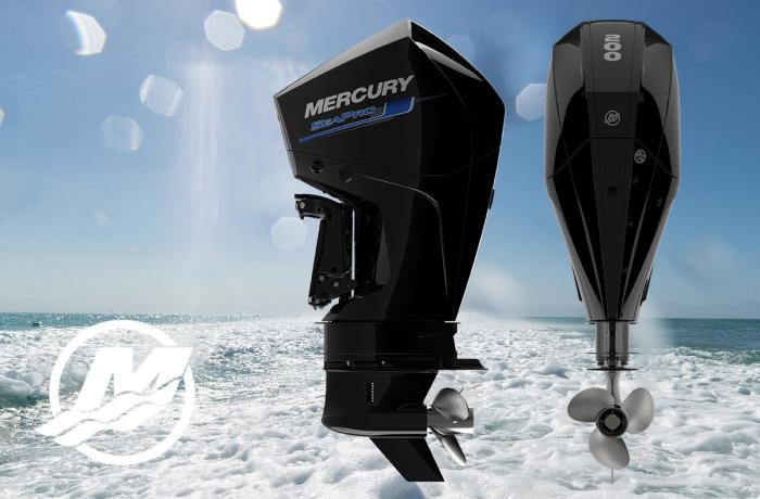 Beppenautica_Mercury_SeaPro_200hp_V6