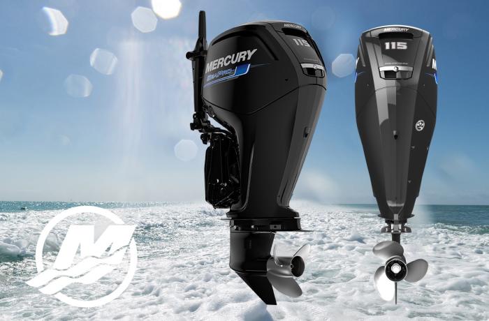 Beppenautica_Mercury_115hp_seapro