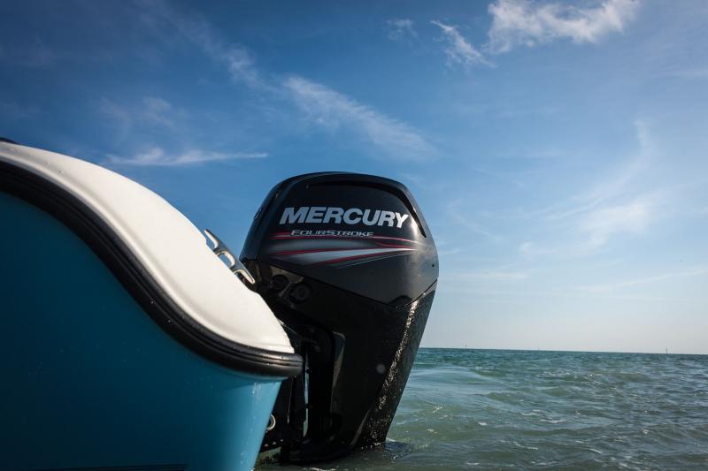 Beppenautica_Mercury_100hp_fourstroke_2